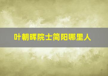 叶朝晖院士简阳哪里人