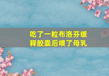 吃了一粒布洛芬缓释胶囊后喂了母乳