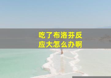 吃了布洛芬反应大怎么办啊