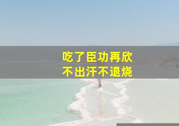 吃了臣功再欣不出汗不退烧