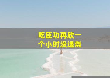 吃臣功再欣一个小时没退烧