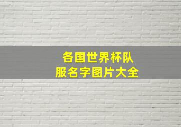 各国世界杯队服名字图片大全