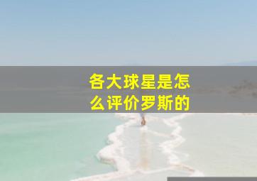 各大球星是怎么评价罗斯的