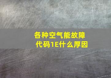 各种空气能故障代码1E什么厚因