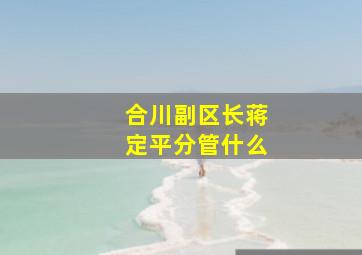 合川副区长蒋定平分管什么