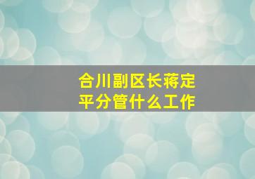 合川副区长蒋定平分管什么工作