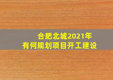 合肥北城2021年有何规划项目开工建设