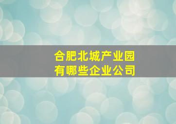 合肥北城产业园有哪些企业公司