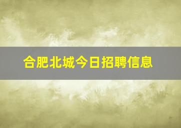 合肥北城今日招聘信息