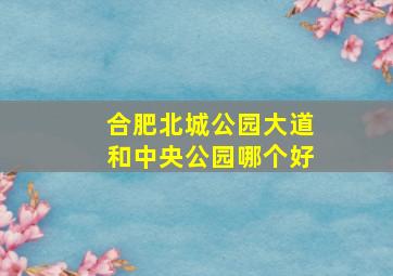 合肥北城公园大道和中央公园哪个好