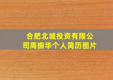 合肥北城投资有限公司周振华个人简历图片