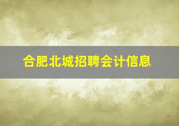 合肥北城招聘会计信息