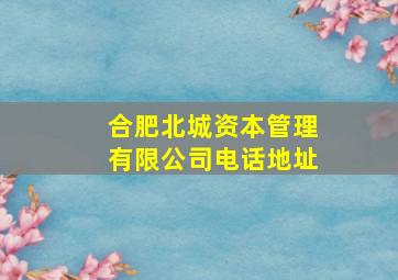 合肥北城资本管理有限公司电话地址