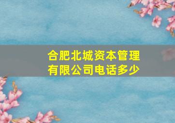 合肥北城资本管理有限公司电话多少