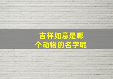 吉祥如意是哪个动物的名字呢