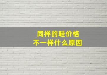 同样的鞋价格不一样什么原因