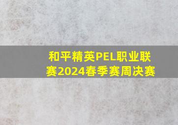 和平精英PEL职业联赛2024春季赛周决赛