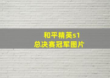 和平精英s1总决赛冠军图片