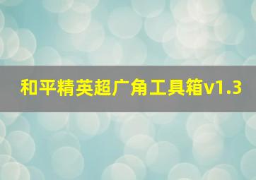 和平精英超广角工具箱v1.3