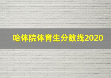 哈体院体育生分数线2020