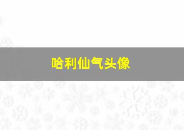 哈利仙气头像