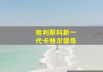 哈利斯科新一代卡特尔领导