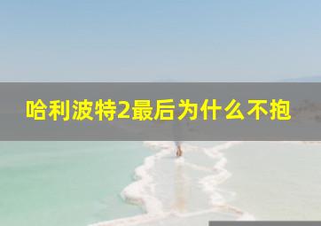 哈利波特2最后为什么不抱