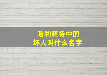 哈利波特中的坏人叫什么名字