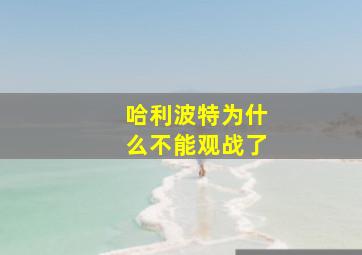 哈利波特为什么不能观战了