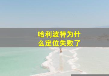 哈利波特为什么定位失败了