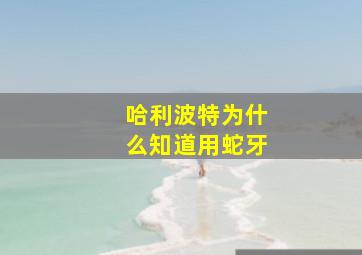 哈利波特为什么知道用蛇牙