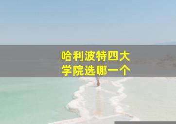 哈利波特四大学院选哪一个