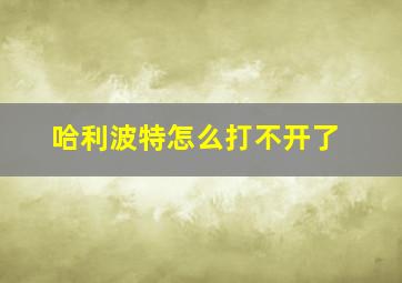 哈利波特怎么打不开了