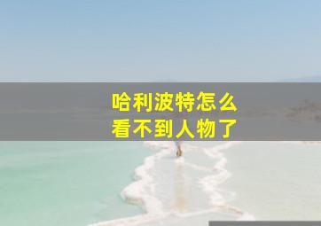 哈利波特怎么看不到人物了