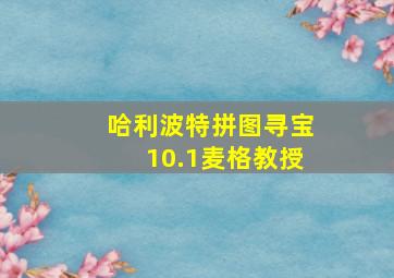 哈利波特拼图寻宝10.1麦格教授