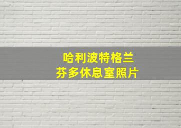 哈利波特格兰芬多休息室照片