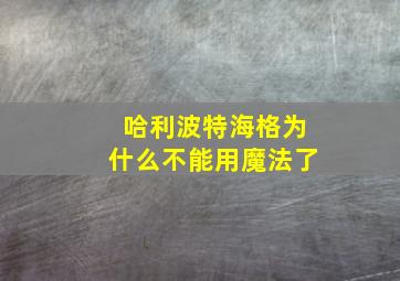 哈利波特海格为什么不能用魔法了