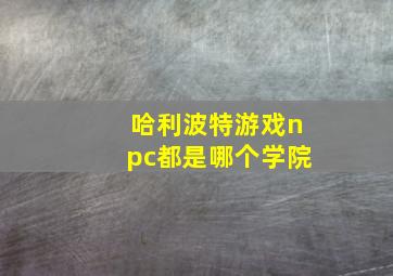 哈利波特游戏npc都是哪个学院