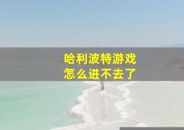 哈利波特游戏怎么进不去了