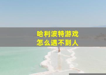 哈利波特游戏怎么遇不到人