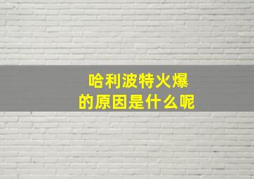 哈利波特火爆的原因是什么呢