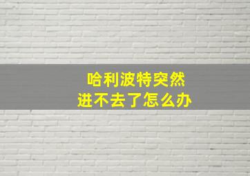 哈利波特突然进不去了怎么办