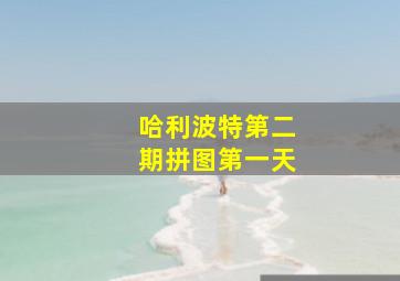 哈利波特第二期拼图第一天