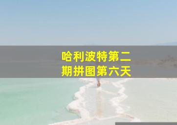 哈利波特第二期拼图第六天