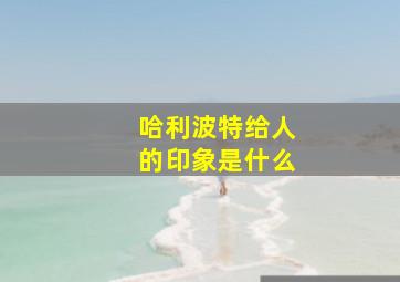 哈利波特给人的印象是什么