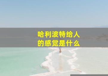 哈利波特给人的感觉是什么