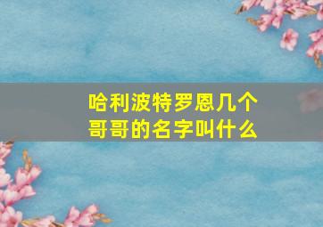 哈利波特罗恩几个哥哥的名字叫什么