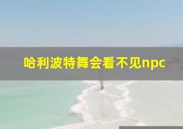 哈利波特舞会看不见npc