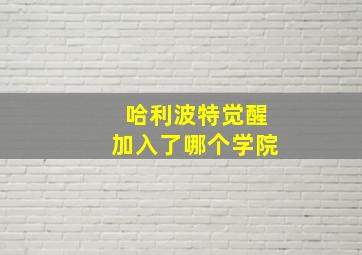 哈利波特觉醒加入了哪个学院