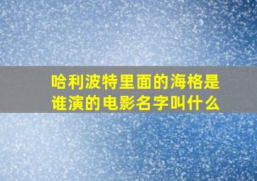 哈利波特里面的海格是谁演的电影名字叫什么